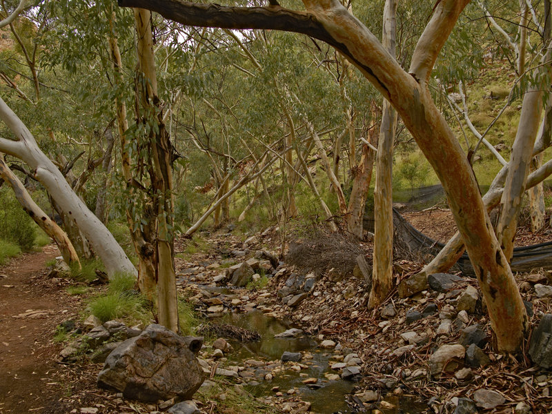 Ellery Creek